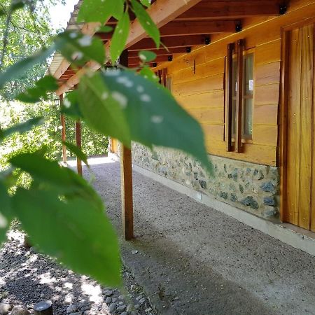 Hotel Cabanas Brisas Del Bosque Villa Ciudad Parque Zewnętrze zdjęcie