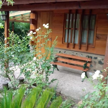 Hotel Cabanas Brisas Del Bosque Villa Ciudad Parque Zewnętrze zdjęcie