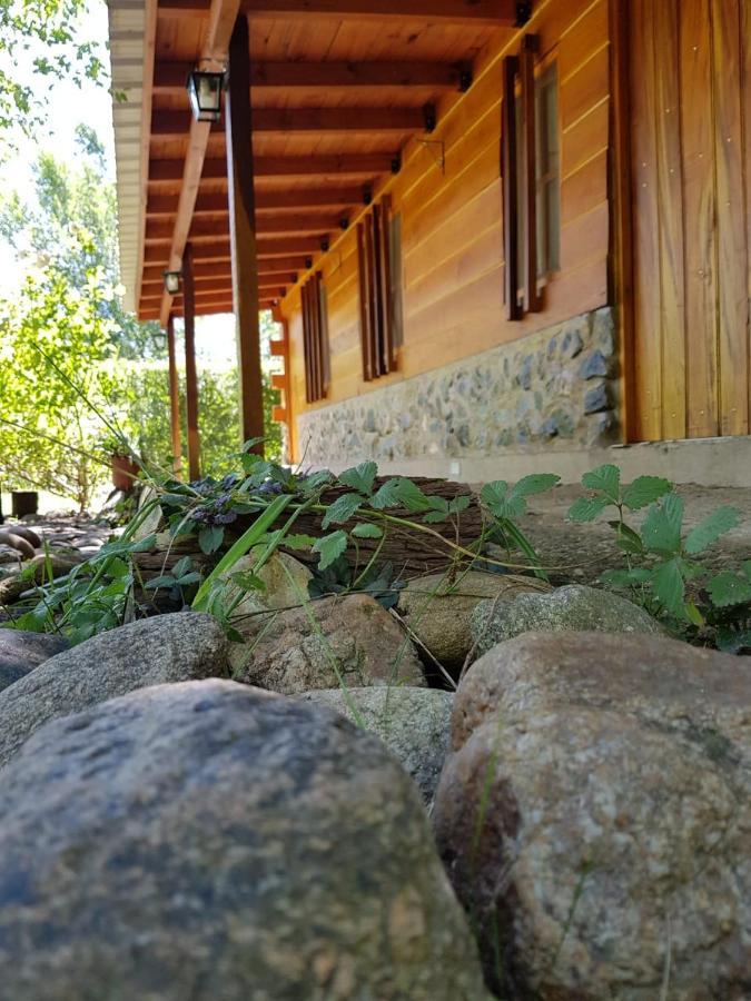 Hotel Cabanas Brisas Del Bosque Villa Ciudad Parque Zewnętrze zdjęcie