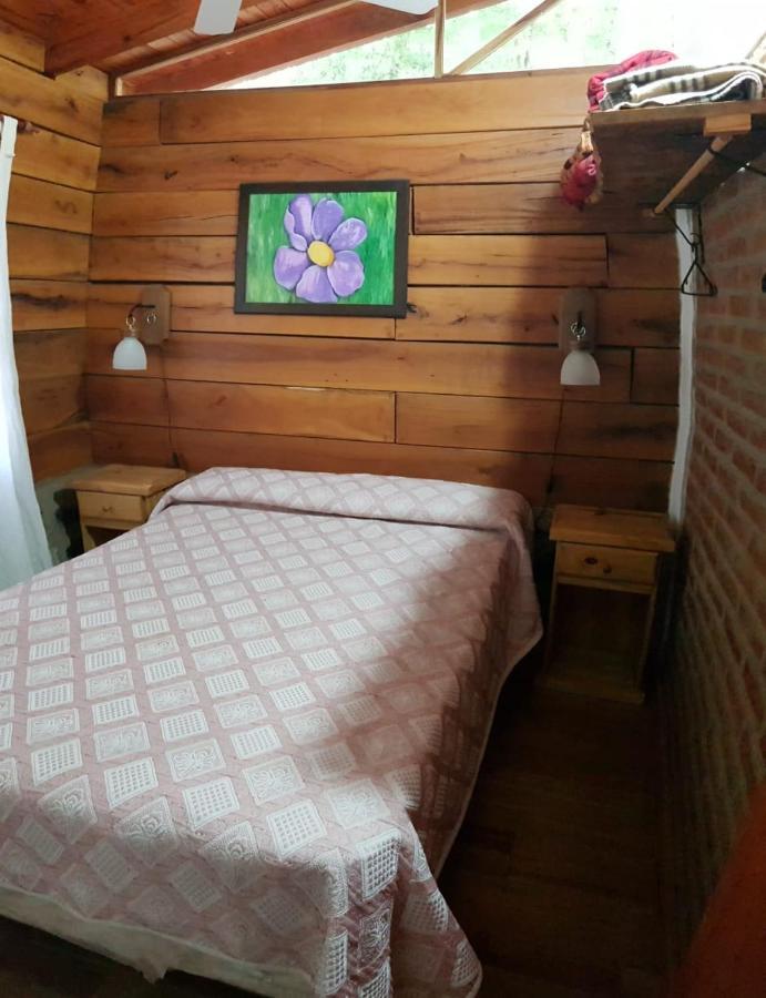 Hotel Cabanas Brisas Del Bosque Villa Ciudad Parque Zewnętrze zdjęcie